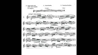 Study № 1 in C Major from Demnitzs Elementary Studies for Clarinet clarinet classicalmusic [upl. by Aennil810]