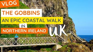 THE GOBBINS CLIFF PATH  Guide of What to Expect What to Wear and What You Will See [upl. by Mosa]