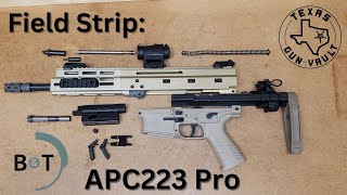 Field Strip BampT APC223 Pro Pistol Version [upl. by Brinna]