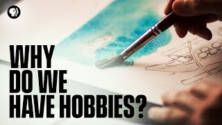 Why Do We Have Hobbies [upl. by Occor]