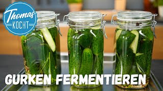 Fermentierte Gurken  super lecker und gesund [upl. by Asylla549]