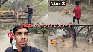 Dog को लेकर गय जंगल में  Sonu Puri Vlogs hunting 🐅 [upl. by Fairfax849]