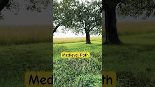 A Path to Medieval Times  🐎🤴👸🐎 shorts middleages FantasyHistory medievaladventure [upl. by Ahtimat659]