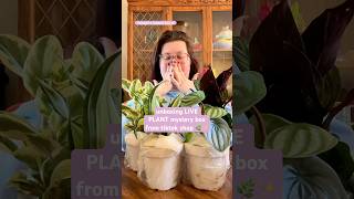 unboxing MYSTERY plants 🌿✨ houseplants plantlover plantmom plants mysterybox tiktokshop [upl. by Nek]