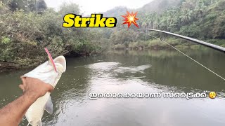 ഇവിടെ മാത്രം എറിഞ്ഞാൽമതി മീൻ ഉറപ്പ് 💯Giant Masheer fishing keralafishing masheer [upl. by Bess]