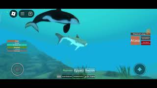 Holocene Mobile Roblox  Shark and Orca BEST FRIENDS Ep 2 [upl. by Cross807]