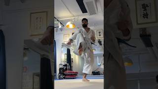 OHAN DAI KATA TRAINING LAST HALF PERFORMANCE [upl. by Abrams]