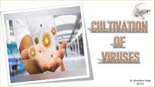 Cultivation of Viruses [upl. by Hecklau]