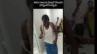 కరిసిన పాముని మేడలో వేసుకుని వచ్చేడు Wearing a bitten snake around the neck came to the hospital [upl. by Redvers]