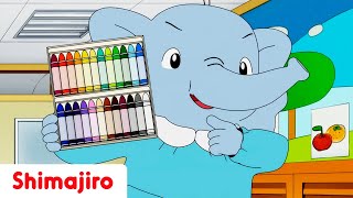 🌈🖍️ Rainbow Crayons  🎒📚 Back to School Special Compilation  Shimajiro 🐯 [upl. by Ainesej907]