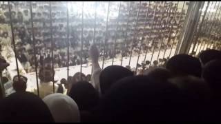 Motzei Yom Kippur In Toldos Aharon  20165777 [upl. by Anaujnas]