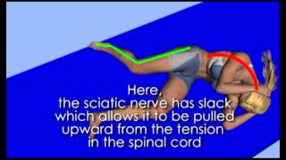 sciatic nerve flossing from Active Spine and Sport [upl. by Ewer454]