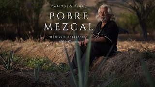 Pobre Mezcal  Documental [upl. by Adohr]