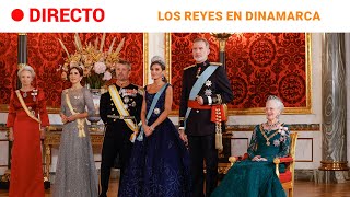 CASA REAL Los REYES en la CENA de GALA de MARGARITA de DINAMARCA  RTVE Noticias [upl. by Akemad615]