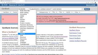 How to use GenBank [upl. by Animrelliug]
