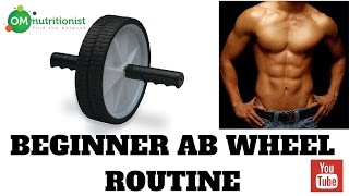 BEGINNER AB WHEEL ROUTINE [upl. by Milinda657]