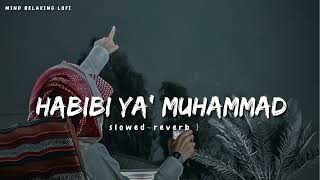 Habibi Ya Muhammad✨ slowed reverb Beautiful Nasheed Naat l Lofi Version l Mind Relaxing Naat [upl. by Jasmine]