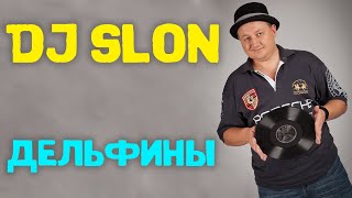 Dj Slon  Дельфины все дельфины в ураган  Аудио [upl. by Leumas]