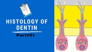 Histology of Dentin  Dentin Pulp Complex Session 4 [upl. by Riehl431]