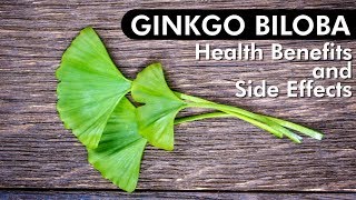 Ginkgo Biloba Review of Benefits amp Side Effects [upl. by Mochun]