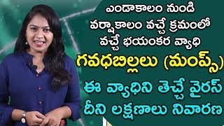 what is mumps  what are the symptoms and effects of mumps  health tips in telugu  mee doctor [upl. by Lrad]