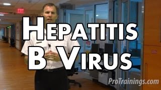 Hepatitis B Virus [upl. by Mccandless616]