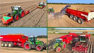 Busy Harvest day at Franzen Farms  Windrowing amp Loading Onions  Lifting Potatos and Sugar Beet [upl. by Oliviero]