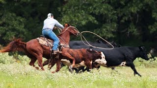 Real Cowboys Still Exist  Rodeo Time in Paris TX [upl. by Ekenna]