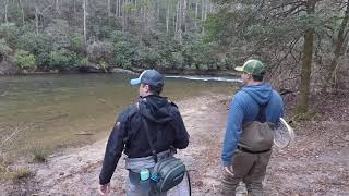 Chattooga River  Big brown trout [upl. by Lunn]