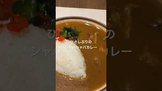 【帰ってきたモンスナックのシャバシャバカレーを食べる】カレー 新宿 ひとり旅 ひとり鉄道旅 新宿紀伊國屋ビル 紀伊國屋書店 モンスナック カレーライス [upl. by Norej493]