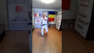 Combinatie Kizami zukigyaku zukimae gerigyaku zukioi zuki jkakarate karate sports [upl. by Anrat]