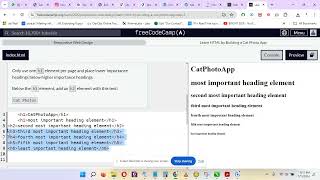 How to use free Code Camp [upl. by Jentoft]