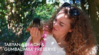 Tabyana Beach amp Gumbalimba Preserve  Shore Excursion  NCL [upl. by Langbehn918]