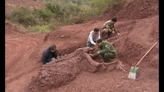 180 mlnyearold dinosaur fossils discovered in SW China [upl. by Kylila953]