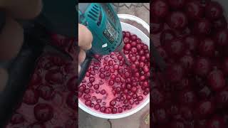 Mixing cherries for wine with drill attachment [upl. by Erminna348]