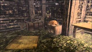 Skyrim The Pursuit Where to Find Mercers PlansEvidence [upl. by Eiramaneet]