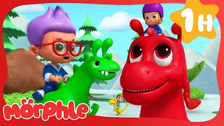 Magic Pet Dino Race  Morphle  Fun Cartoon Videos  Kids Animation [upl. by Ohce]