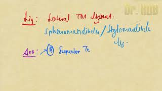 Temporomandibular Joint TMJ [upl. by Tearle]