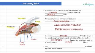 Optician Training The Ciliary Body Ocular Anatomy Lecture 7 [upl. by Harrell]