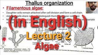 Algae Lecture 2  Thallus Organisation [upl. by Ettenan927]