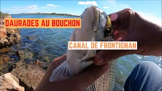 DAURADES au BOUCHON dans le CANAL de FRONTIGNAN [upl. by Iret]