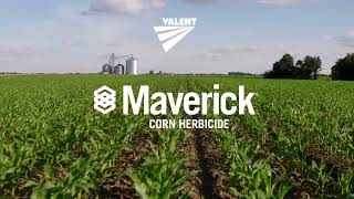 Maverick® Corn Herbicide [upl. by Denzil]