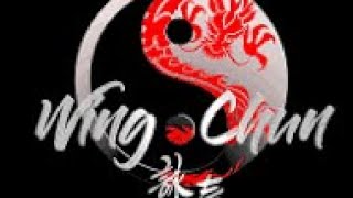 Wing chun pak sao sensitivity training [upl. by Eimarrej]