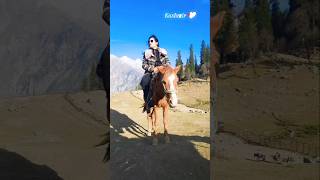 Wo Dekho Zara parvaton pe ghataye Shahrukh Khan Veer Zaaraytshort Kashmir visit natural beauty [upl. by Clemen]