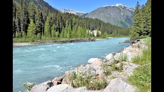 KOOTENAY NATIONAL PARK [upl. by Ajup]