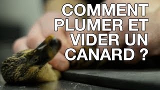 Comment plumer et vider un canard   Les trucs et astuces de Chassons TV n°14 [upl. by Sisto989]