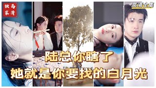 MULTI SUB 💕✨她在他最无助的时候伸出了手，在他生命危急的时候给了他眼角膜自己却成了盲人，可他恢复视力后却百般虐她！陆总，她就是你要找的白月光啊！短剧 drama [upl. by Peonir]