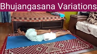 Bhujangasana Variations  yogaandfitnesswithshiva youtube trending yoga asana [upl. by Schoening]