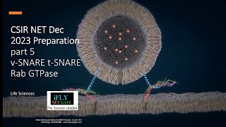 CSIR NET DEC 2023 part 5 t SNARE v SNARE Rab GTPase proteins Membrane fusion GATE 2024 BT XL CUETPG [upl. by Misak889]