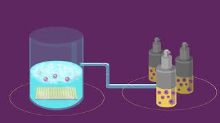 ChemSci Pick of the week A new water splitting photocatalyst with a lifespan over 1300 hours [upl. by Nosnhoj]